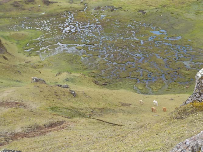 Hiking the Andes